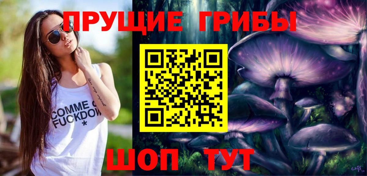 Псилоцибиновые грибы ЛСД  Псилоцибиновые грибы ЛСД  Вход с VPN  Хасавюрт 